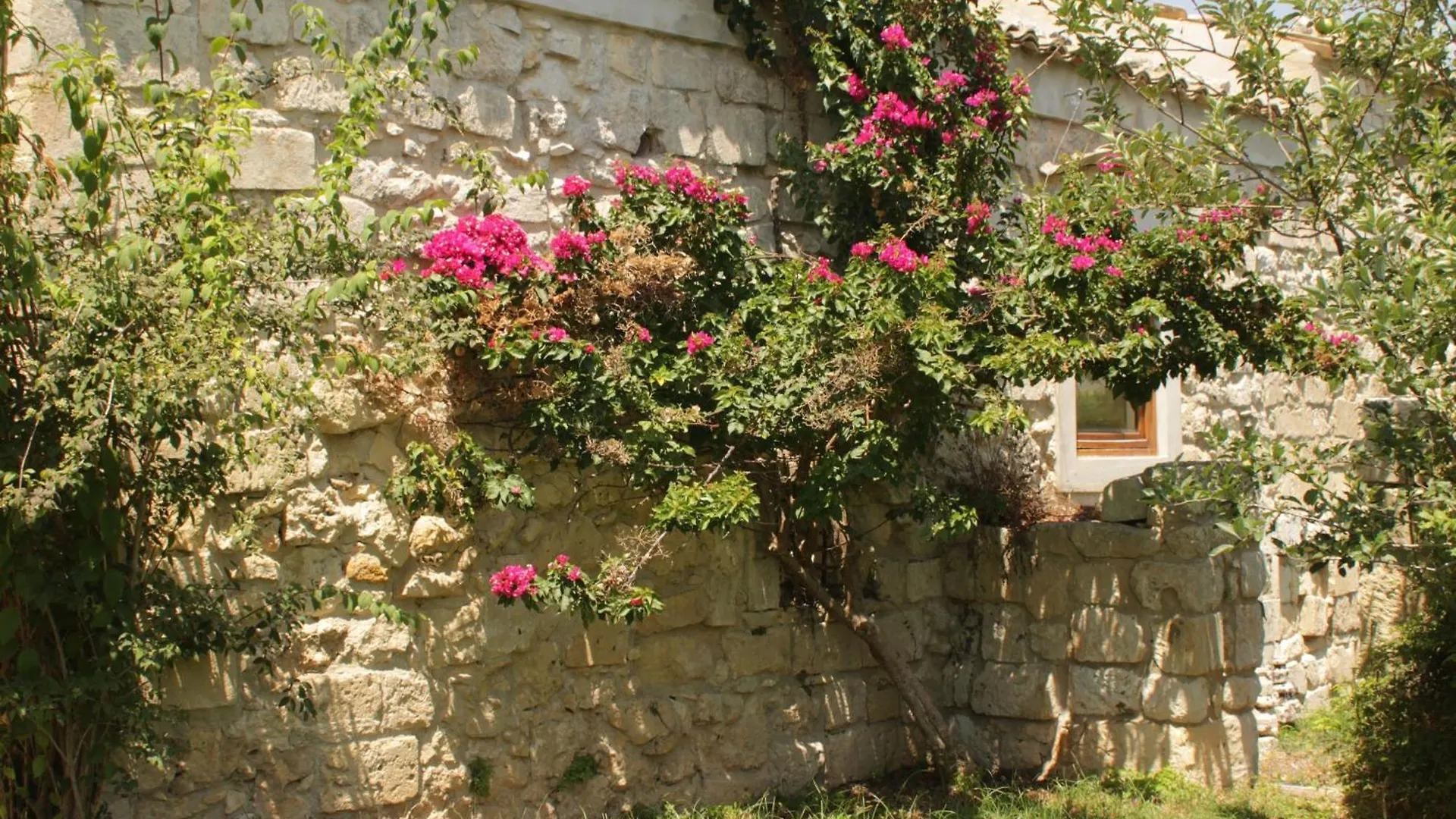 Il Carosello Dei Baroni Villa Noto Feriegård